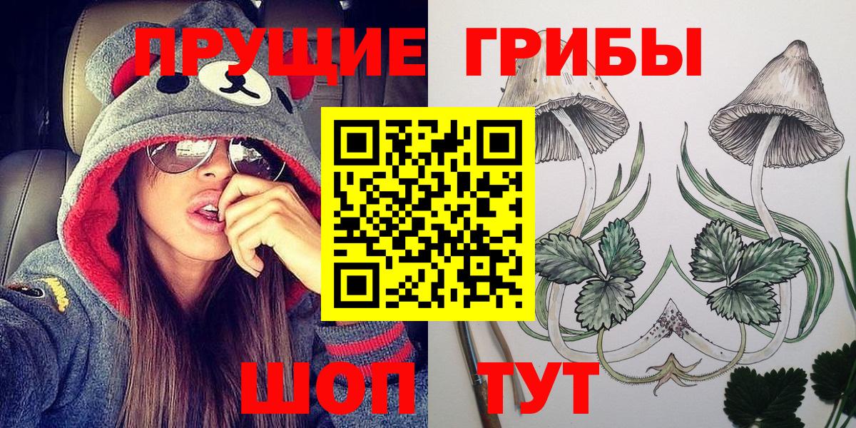 Псилоцибиновые грибы GOLDEN TEACHER Протвино