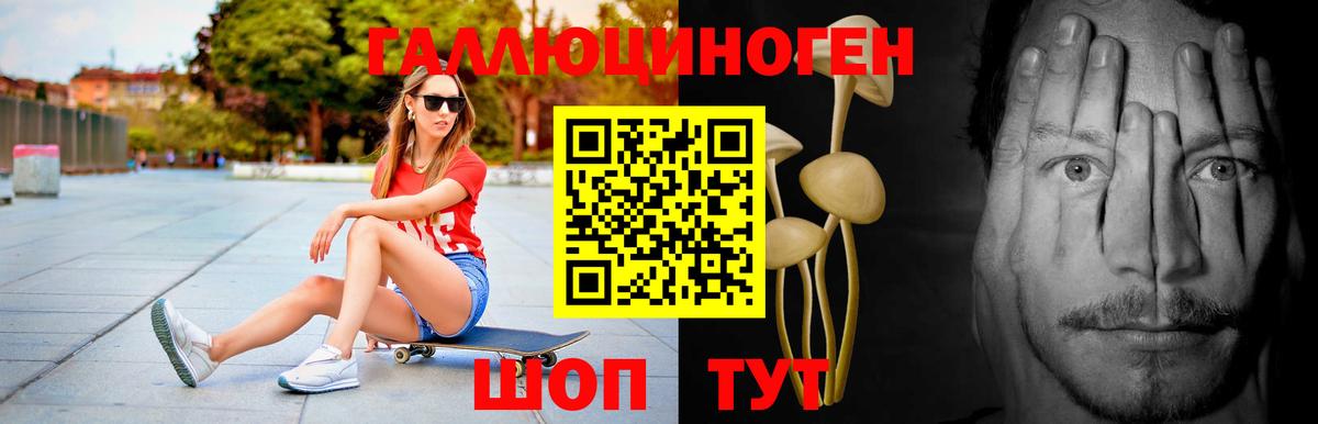 Псилоцибиновые грибы GOLDEN TEACHER  Вход с VPN  Протвино  Псилоцибиновые грибы Psilocybine cubensis 