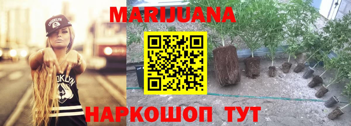 Конопля AK-47  МАРИХУАНА тримм  Вход с VPN  Конопля план  Протвино 